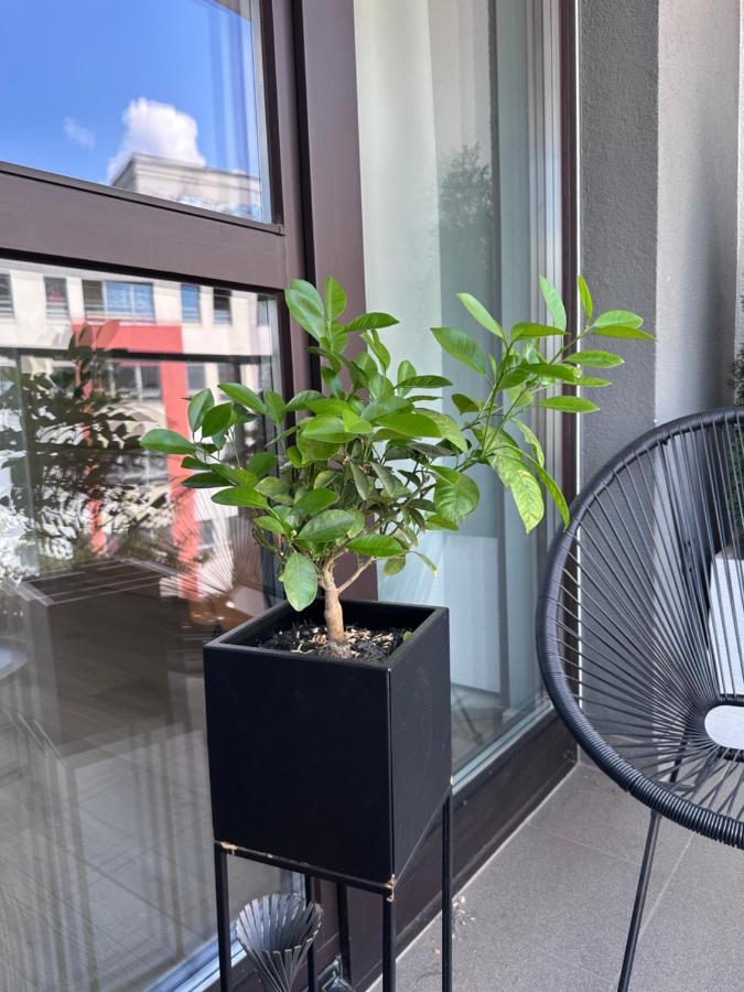 Orange House Apartman Varsó Kültér fotó